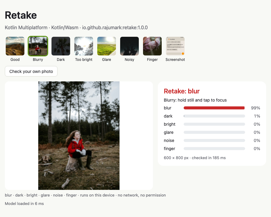Retake sample on Web (Wasm)